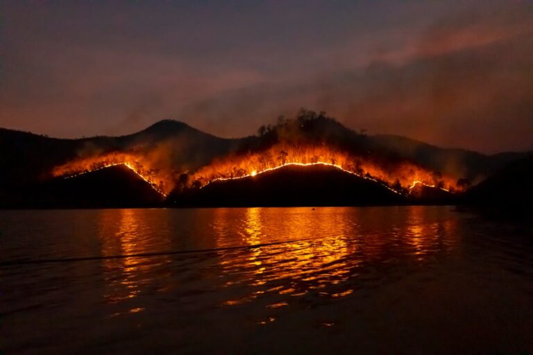 Oh Shit, There’s a Wildfire: Urban & Suburban Edition